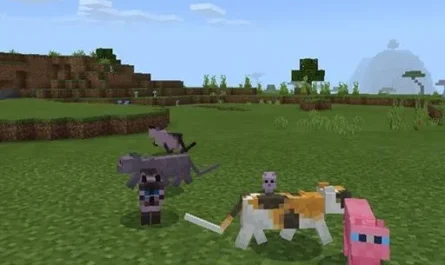 Cat Texture Pack