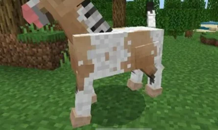 Horse Texture Pack