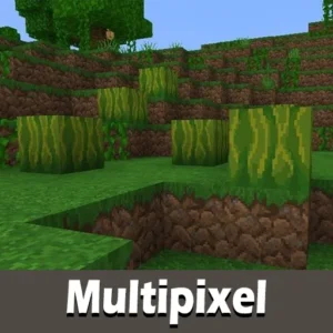 Multipixel