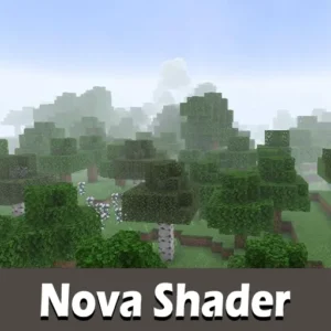 Nova